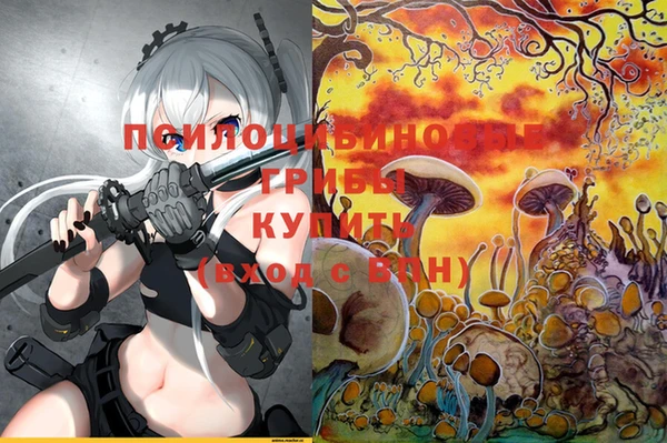 ECSTASY Белоозёрский