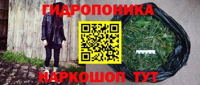 PSILOCYBIN Берёзовский