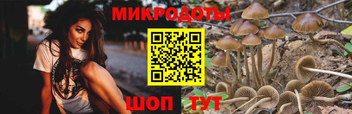 Галлюциногенные грибы Magic Shrooms Бузулук
