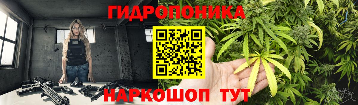 Бошки Шишки AK-47  Канабис VHQ  Бузулук  Канабис семена  Вход с VPN 